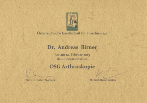 OSG Arthroskopie